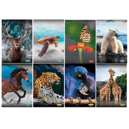 [94997] Maxiquaderno A4 20fg+1 80gr 1 rigo c/margine Animal 2022 Blasetti