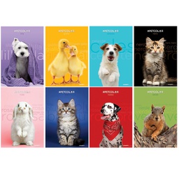[95007] MAXIQUADERNO A4 20FG+1 80GR 1 RIGO C/MARGINE PET COLOR 2022 BLASETTI