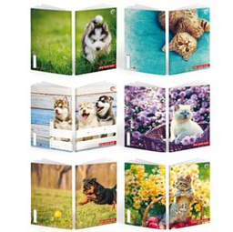 [81934] Maxiquaderno A4 36fg+2 100gr rigo di 3a BABY Be More 2024 BM