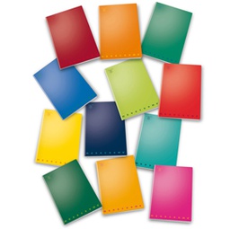 [28935] MAXIQUADERNO A4 40fg+2 80gr 10mm MONOCROMO PIGNA