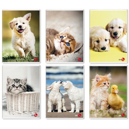 [81330] Maxiquaderno A4 40FG+2 80gr 1rigo Cute BM