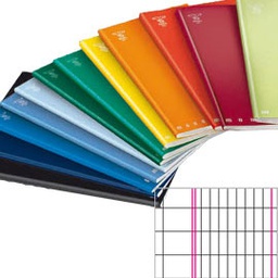 [28936] MAXIQUADERNO A4 40fg+2 80gr 2colonne MONOCROMO PIGNA