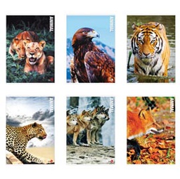 [82534] Maxiquaderno A4 40fg+2 80gr 4mm c/margine Animal BM