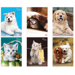 [81331] Maxiquaderno A4 40FG+2 80gr 5mm c/marigne Cute BM