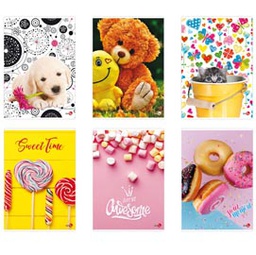 [82562] Maxiquaderno A4 40fg+2 80gr rigo di 3a Bambina BM