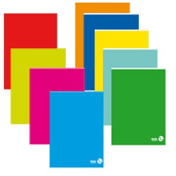 [69505] MAXIQUADERNO A4 80gr 80fg+1 rigo di 1a COLOR 80 BASIC BM