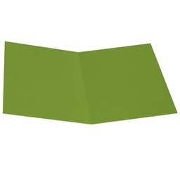 [STL6130] Pack 50 Cartelline Semplici VERDE NILO in bristol 200g Starline