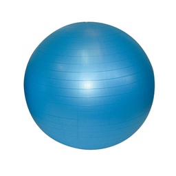 [93608] Palla ginnica pilates