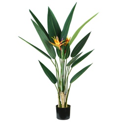 [93983] Pianta ornamentale Sterlizia 12 foglie e 2 fiori