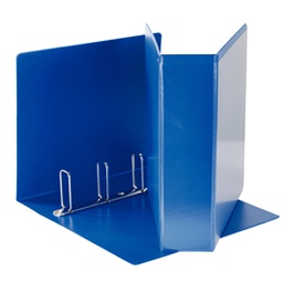 [80303] Raccoglitore DISPLAY MAXI 22x30cm 4Q H65mm blu personalizzabile ESSELTE