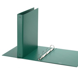 [39410] Raccoglitore Europa 4010 22x30mm 4R dorso 30 verde Favorit