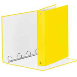 [74738] RACCOGLITORE Meeting 30 A4 4R IN PPL Giallo VIVIDA Esselte