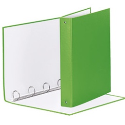 [74739] RACCOGLITORE Meeting 30 A4 4R IN PPL Verde VIVIDA Esselte