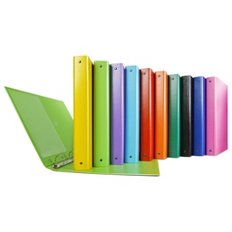 [89233] Raccoglitore Nettuno 30 A4 4R colori assortiti Sei Rota