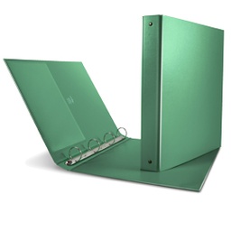 [53792] Raccoglitore Nettuno 30 A4 4R verde Sei Rota