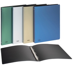 [89139] RACCOGLITORE PPL METAL COLORI ASS. 22X30MM 4R DORSO 15 FAVORIT