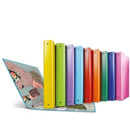 [90769] Raccoglitore Raggio Ritratti 4 anelli R diam. 30mm Sei Rota colori assortiti