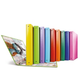 [90768] RACCOGLITORE RAGGIO SOGNI 4 ANELLI R DIAM. 30MM SEI ROTA COLORI ASSORTITI