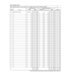 [88626] Registro beni ammortizzabili 45pag. num. 31x24,5cm DU136800000 Data Uffcio
