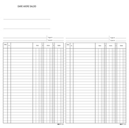 [50245] REGISTRO DARE/AVERE/SALDO 24X17 100PAG. E2689