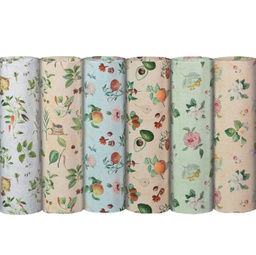 [95084] Scatola 100fg Ecocarta regalo Botanica 70X100cm Rex Sadoch