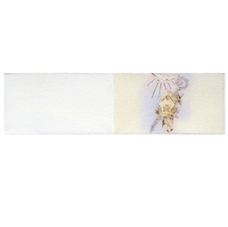 [88432] Scatola 25 fg A4 da 20 bigl. bomboniere personalizzabile ''Cresima'' Rex Sadoch
