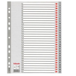 [45645] Separatore in PPL grigio numerico 1-31 f.to A4 ESSELTE