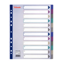 [49633] Separatore in PPL traslucido 12 tasti f.to A4 MAXI 24,5x29,7cm ESSELTE