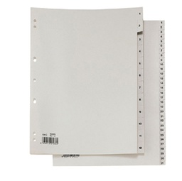 [25668] SEPARATORE NUMERICO 1-12 PPL 21X29,7 RECORD RA4 1-12 SEI