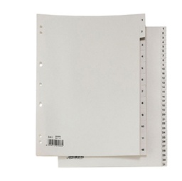 [25669] SEPARATORE NUMERICO 1-31 PPL 21X29,7 RECORD RA4 1-31 SEI