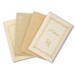 [67414] TASCHETTA 10biglietti+10buste F.to 9 9x14cm NATURA COLORI ASSORTITI