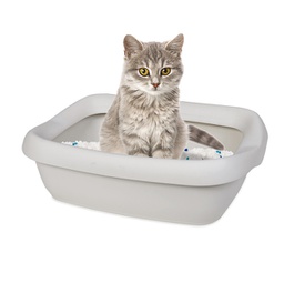 [92104] Toilette con cornice grande per gatti