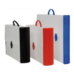 [51600] VALIGETTA POLIONDA 28X38X8 DORSO RIGIDO (254-R)