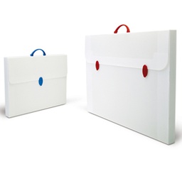 [35233] VALIGETTA POLIONDA 52X73,5 DORSO 3 (284-E)