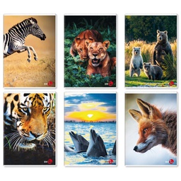 [82528] Maxiquaderno A4 40fg+2 80gr 1rigo c/margine Animal BM