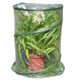 [99321] Serra Pop-up Anthurium 70x100cm verde/trasparente Verdemax