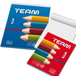[47436] BLOCCO NOTE 210X297MM 5MM 50GR 60FG TEAM BLASETTI