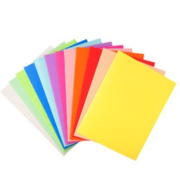 [71853] 100 CARTELLINE SEMPLICI 220gr 24x32cm MIX 10 COLORI FOLDYNE