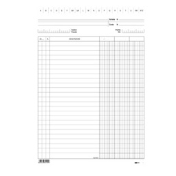 [60259] 100 SCHEDE 3 COLONNE VERTICALE 24X17CM E3406 EDIPRO