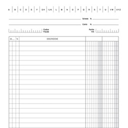 [55561] 100 SCHEDE VERTICALE 21X15CM DARE/AVERE/SALDO E3336BL