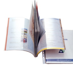 [53981] 10 CARTELLE C/FORATURA ERCOLE CAT PVC 21X29,7 C/TASCHE