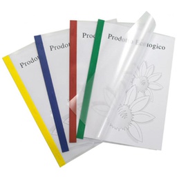 [47742] 10 cartelline Poli 200 210x297mm PP trasparente dorso verde Sei Rota