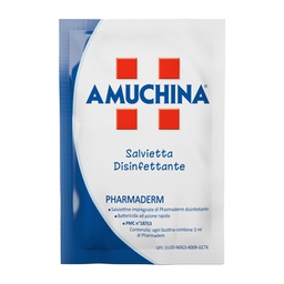 [96066] 200 Salviette disinfettanti Pharmaderm Amuchina