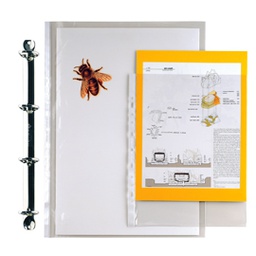 [25988] 25 BUSTE FORATE 15X21-15 ERCOLE PVC SEI ROTA