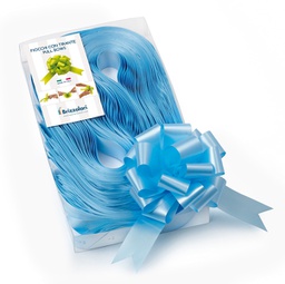 [88204] 30 nastri strip 6800 31mm-D13cm colore azzurro 06 Brizzolari