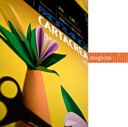 [82581] Blister 10fg cartoncino 35x50cm 220gr aragosta Cartacrea Fabriano