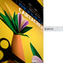 [37232] Blister 10fg cartoncino 35x50cm 220gr bianco Cartacrea Fabriano