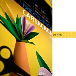 [82583] Blister 10fg cartoncino 35x50cm 220gr cedro Cartacrea Fabriano