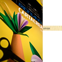 [37242] Blister 10fg cartoncino 35x50cm 220gr onice Cartacrea Fabriano