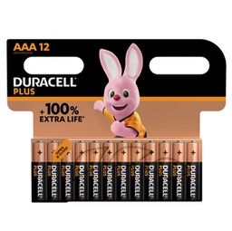 [88049] Blister 12 pile Duracell Plus 100 - AAA MiniStilo